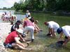 Stage de formation  l'orpaillage en France