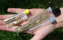 débris et morceaux de bijoux en or débris et morceaux de bijoux en or