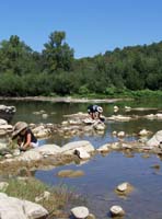 un des nombreux placer aurifres sur le Gardon dans les Cvennes